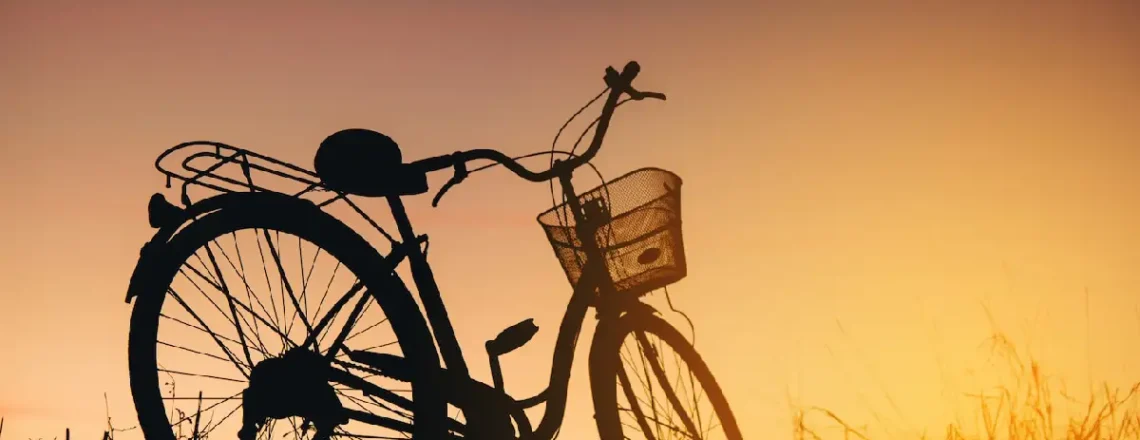 Best Gear Bicycles Under 20000: Safety Promised! 