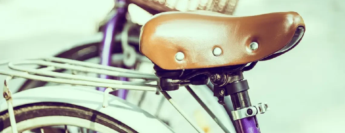 Top 5 Brands With Best Kids Bicycle Seats 