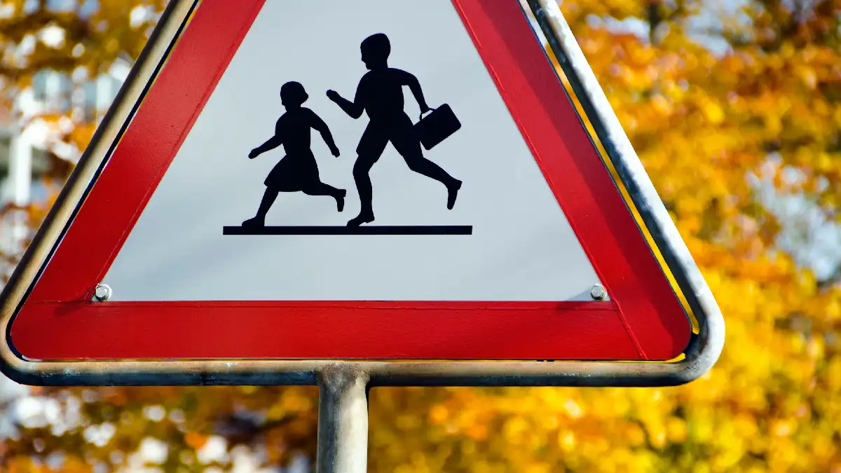 Teaching Kids Road Awareness: Signs, Signals, and Smart Moves! 
